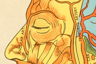 Close-up of human head