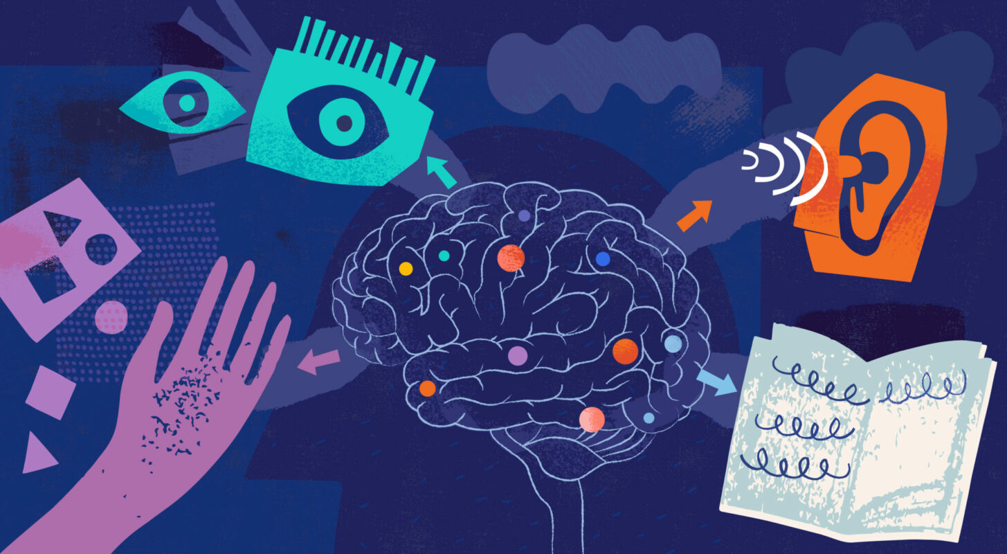 Illustration created from paper cut out elements, hand drawn doodles, and textures depicting brain and four main types of learning styles
